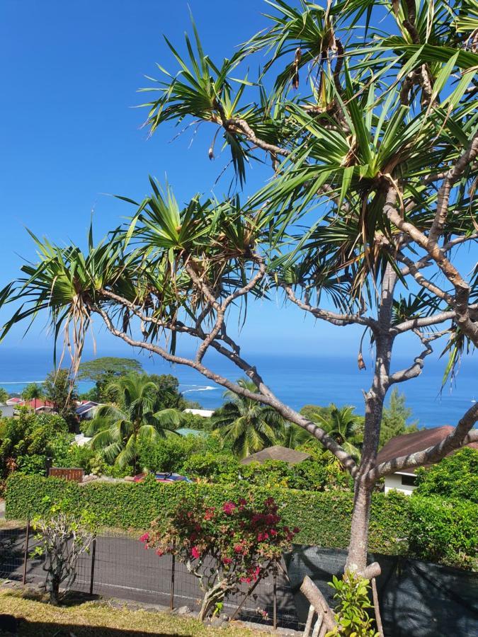 Jolie Maison Vue Ocean Et Moorea Пунауиа Екстериор снимка
