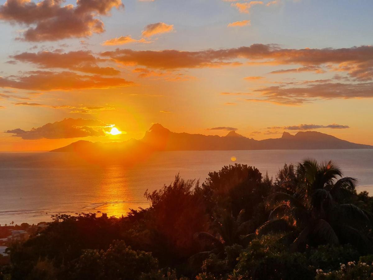 Jolie Maison Vue Ocean Et Moorea Пунауиа Екстериор снимка